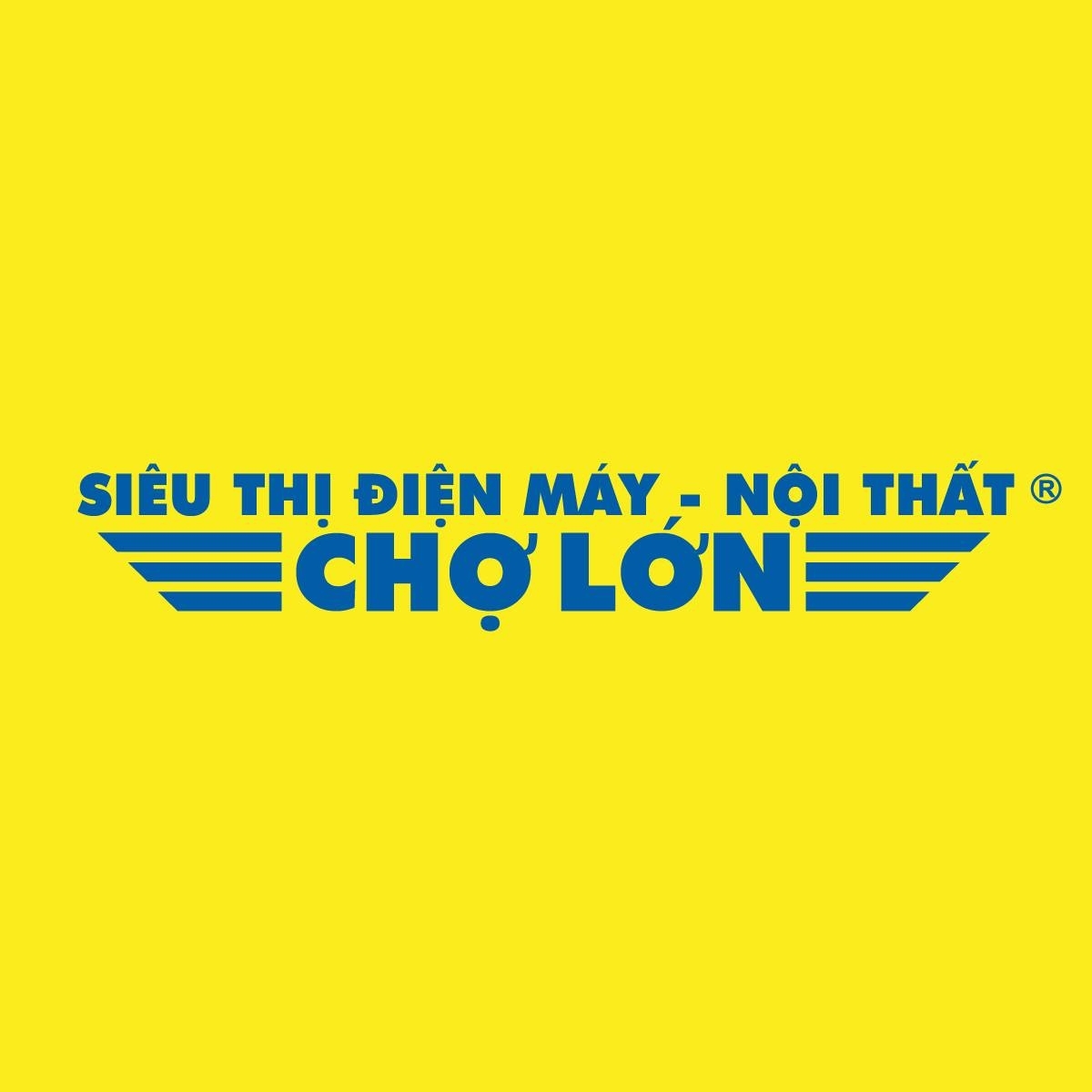 dien-may-cho-lon-logo